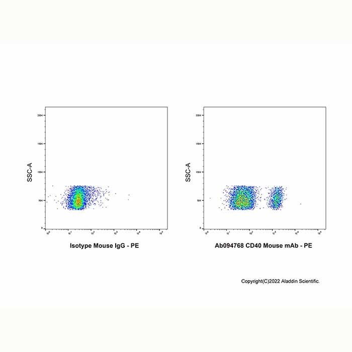 CD40 Mouse mAb