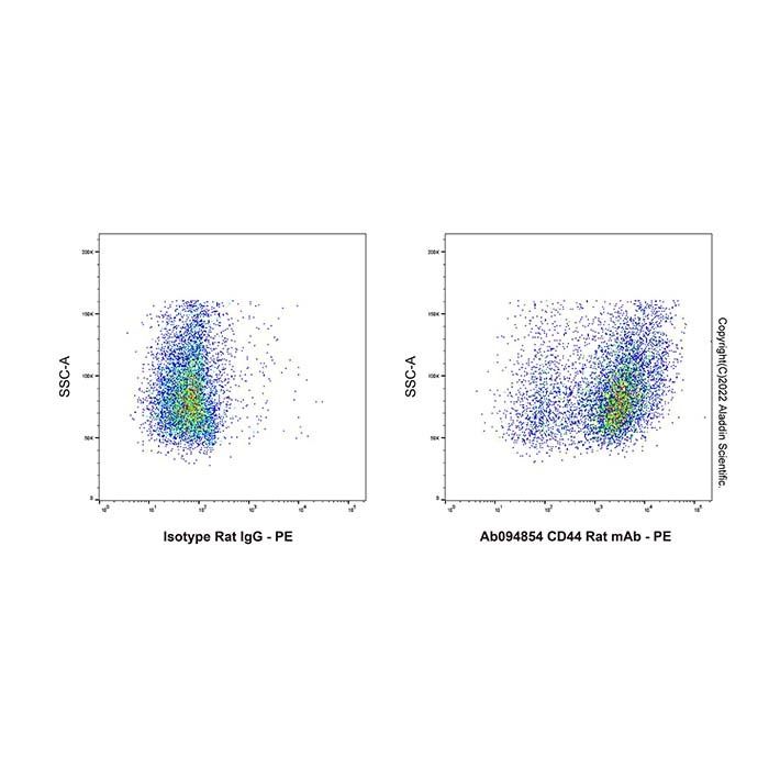 CD44 Rat mAb