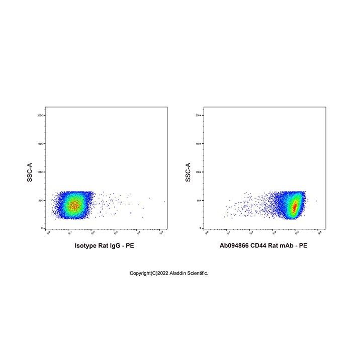 CD44 Rat mAb