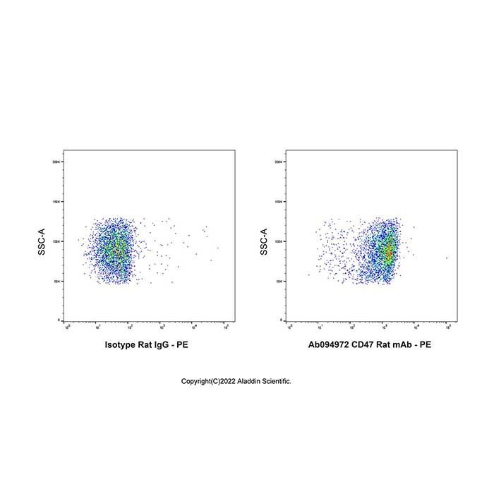 CD47 Rat mAb