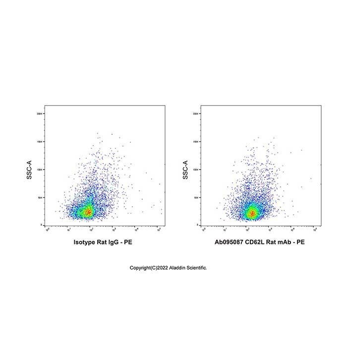 CD62L Rat mAb