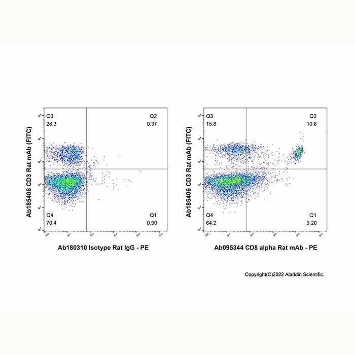 CD8 alpha Rat mAb