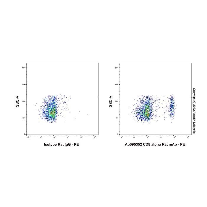 CD8 alpha Rat mAb