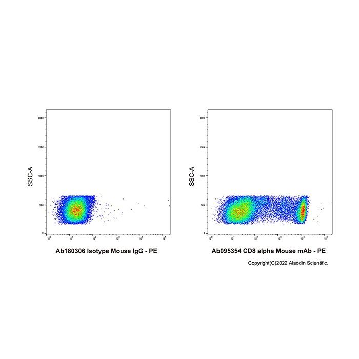 CD8 alpha Mouse mAb