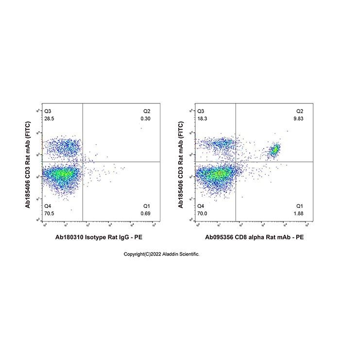 CD8 alpha Rat mAb