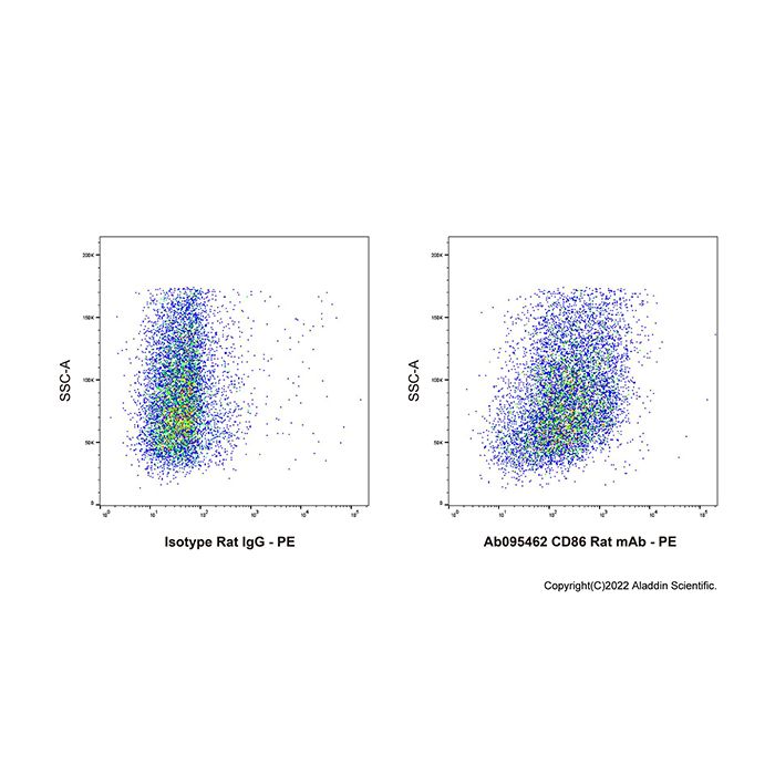 CD86 Rat mAb