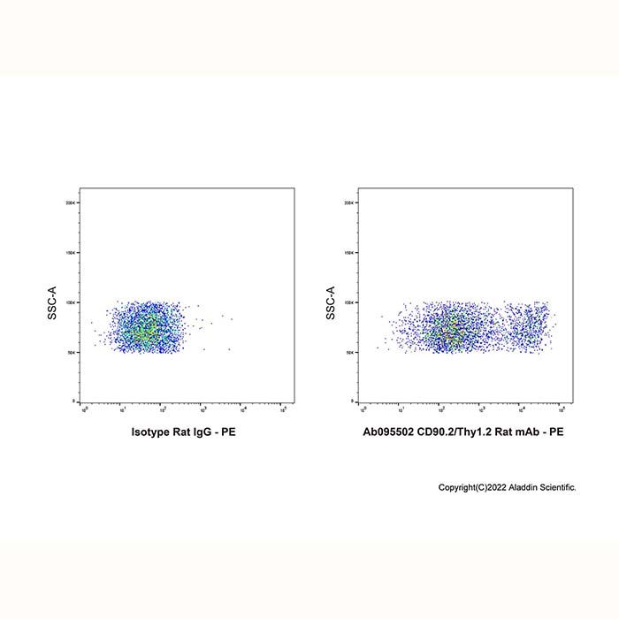 CD90.2/Thy1.2 Rat mAb