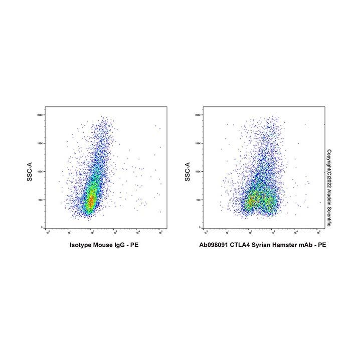 CTLA4 Syrian Hamster mAb