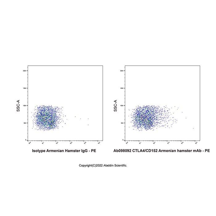 CTLA4/CD152 Armenian hamster mAb