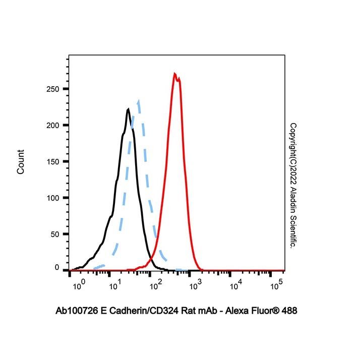 E Cadherin/CD324 Rat mAb