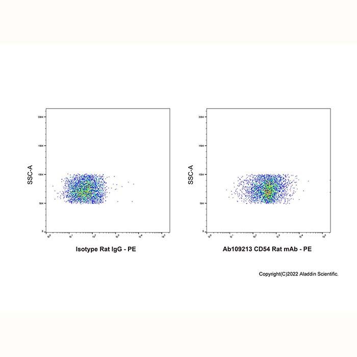 CD54 Rat mAb