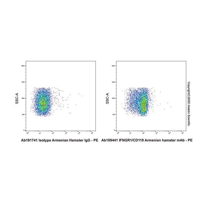 IFNGR1/CD119 Armenian hamster mAb