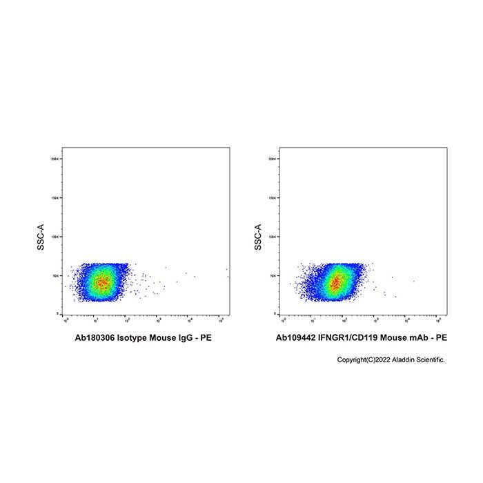 IFNGR1/CD119 Mouse mAb