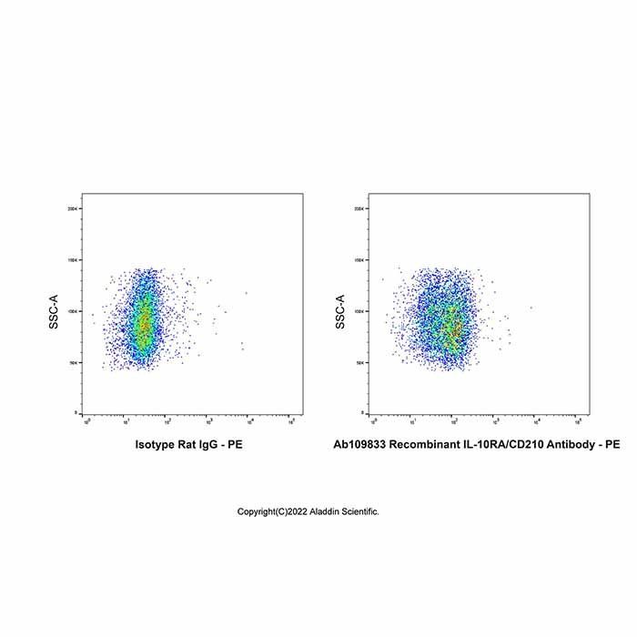 Recombinant IL-10RA/CD210 Antibody