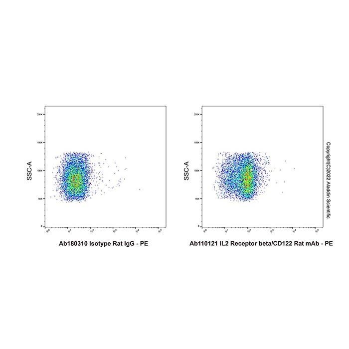 IL2 Receptor beta/CD122 Rat mAb