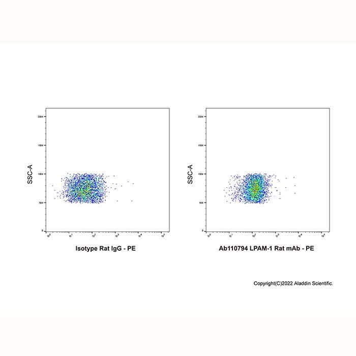 LPAM-1 Rat mAb