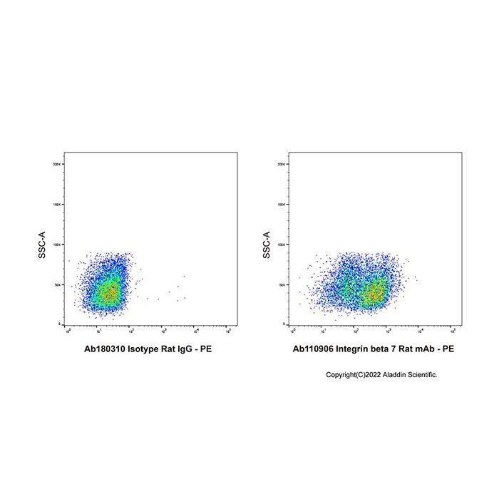 Integrin beta 7 Rat mAb