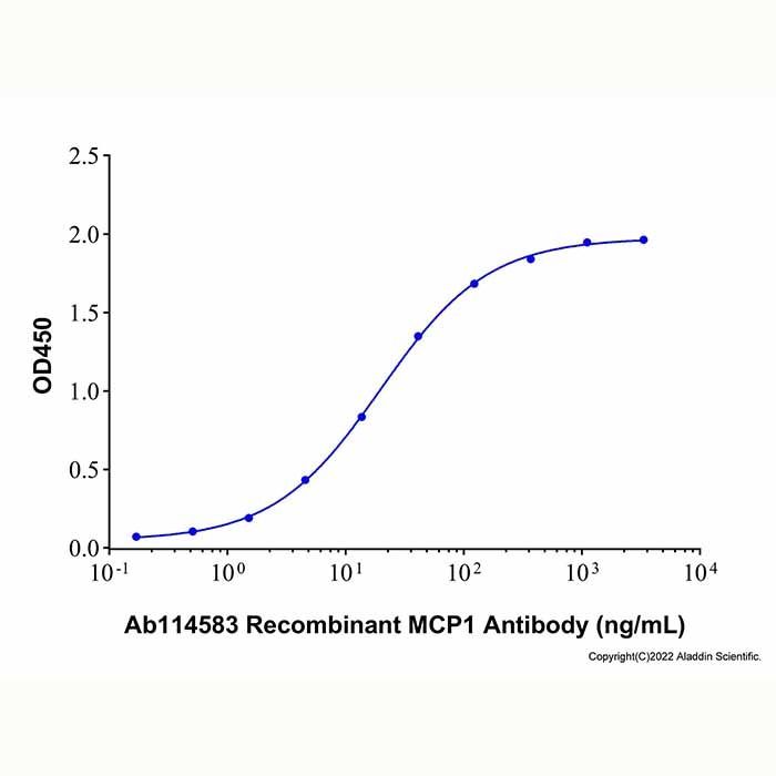Recombinant MCP1 Antibody