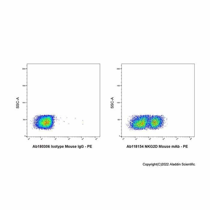 NKG2D Mouse mAb