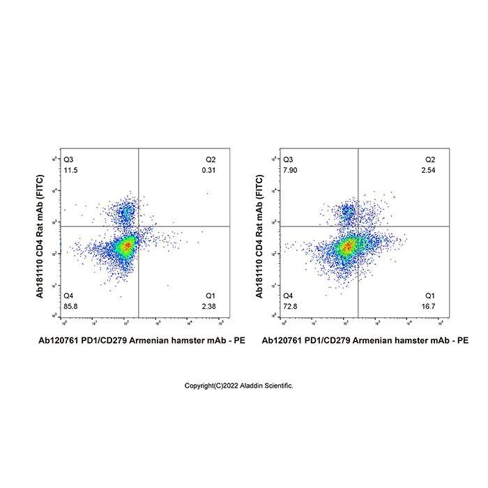 PD1/CD279 Armenian hamster mAb
