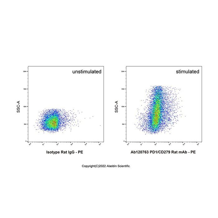 PD1/CD279 Rat mAb