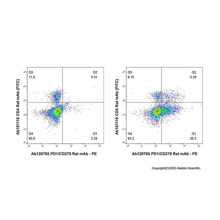 PD1/CD279 Rat mAb