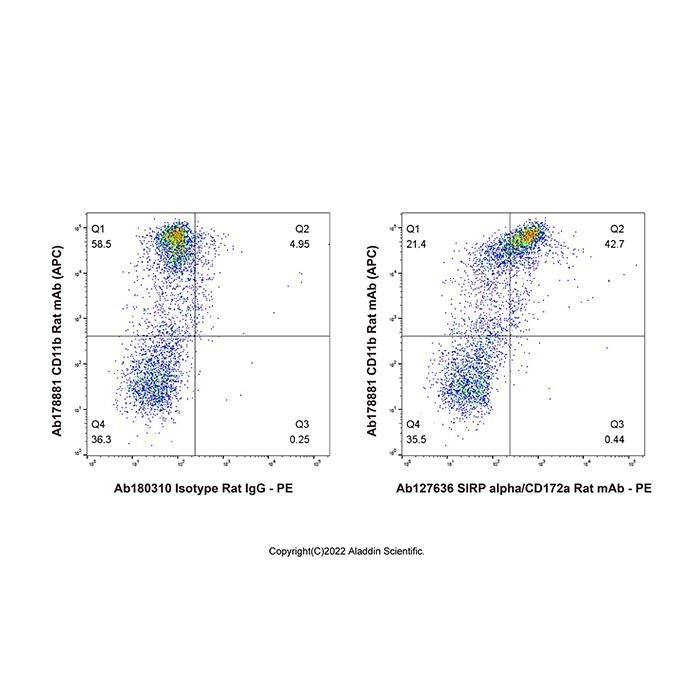 SIRP alpha/CD172a Rat mAb