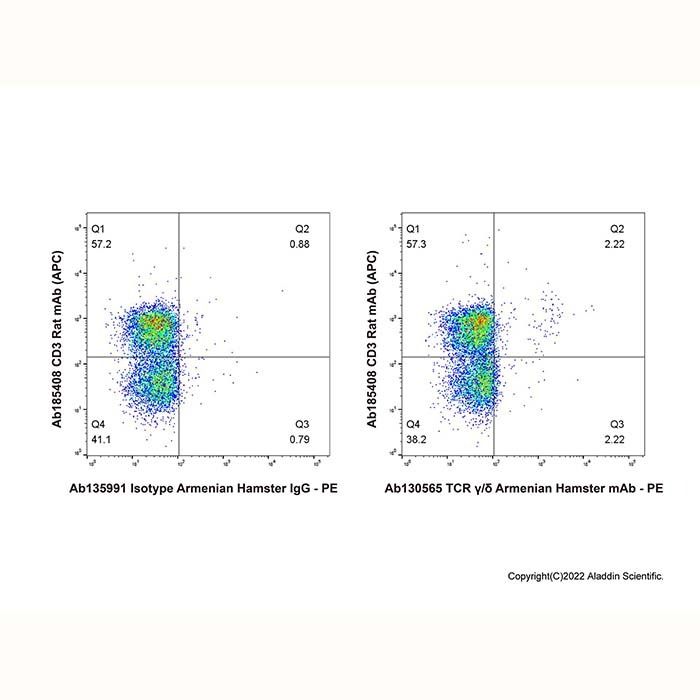 TCR γ/δ Armenian Hamster mAb
