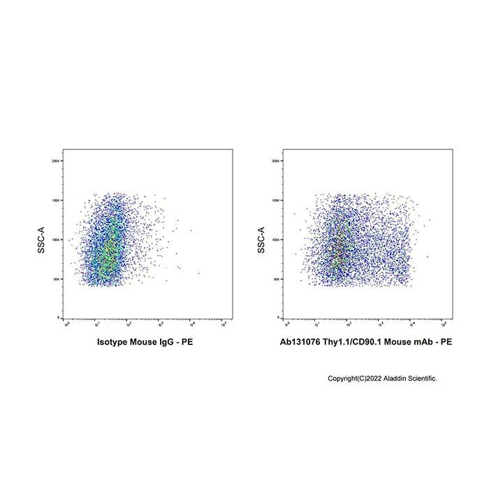 Thy1.1/CD90.1 Mouse mAb