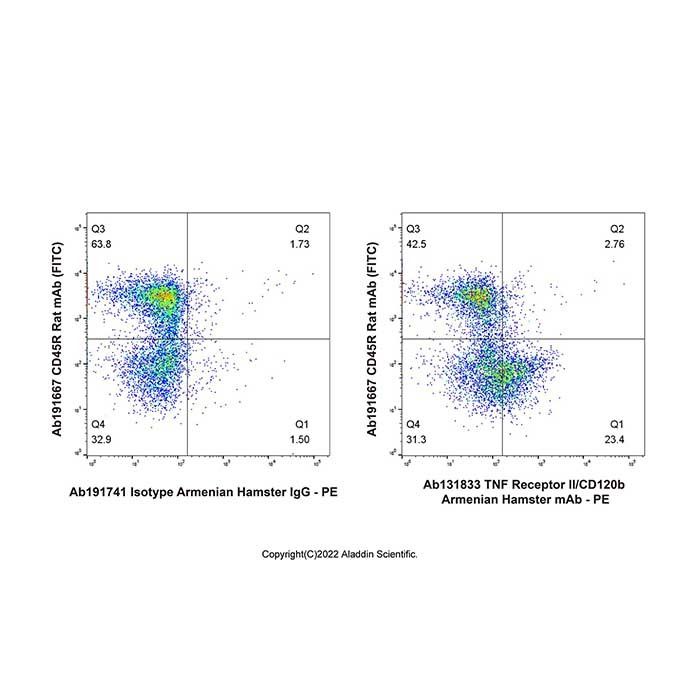 TNF Receptor II/CD120b Armenian Hamster mAb