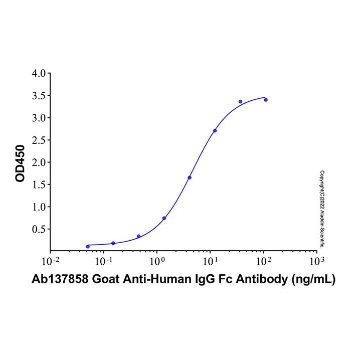 Goat Anti-Human IgG Fc Antibody