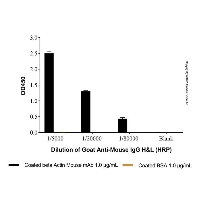 Goat Anti-Mouse IgG H&L (HRP)
