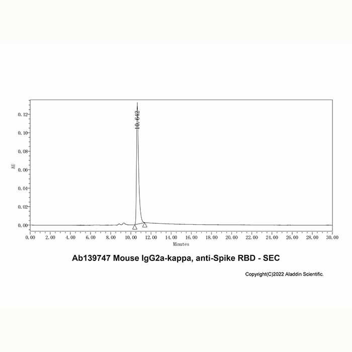 Mouse IgG2a-kappa, anti-Spike RBD