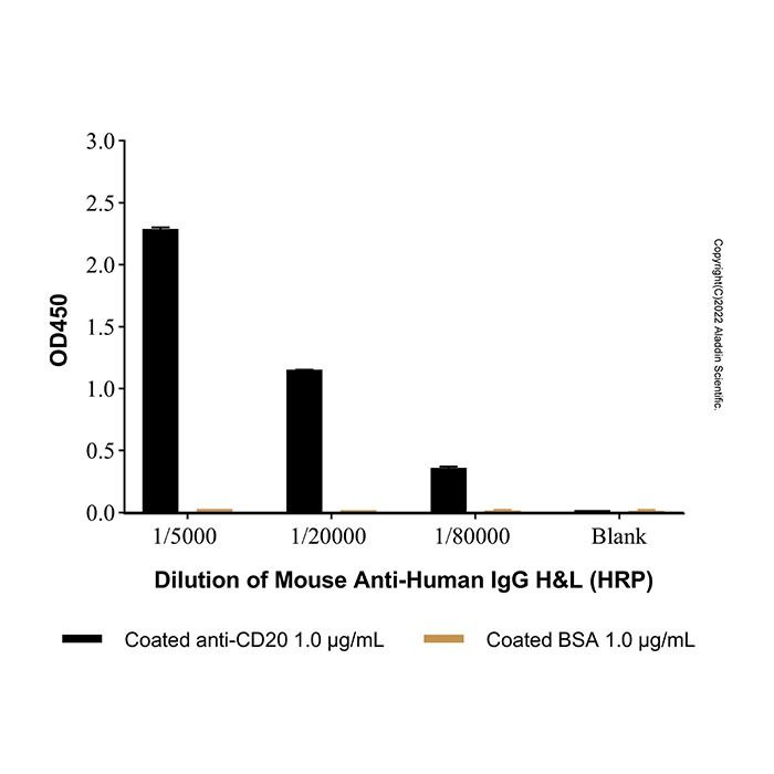 Mouse Anti-Human IgG H&L (HRP)