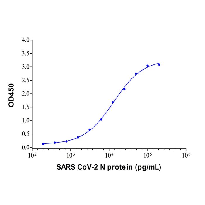 SARS CoV-2 N Protein Mouse mAb