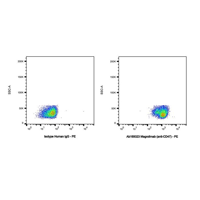 Magrolimab (anti-CD47), 白细胞表面抗原 CD47 抑制剂