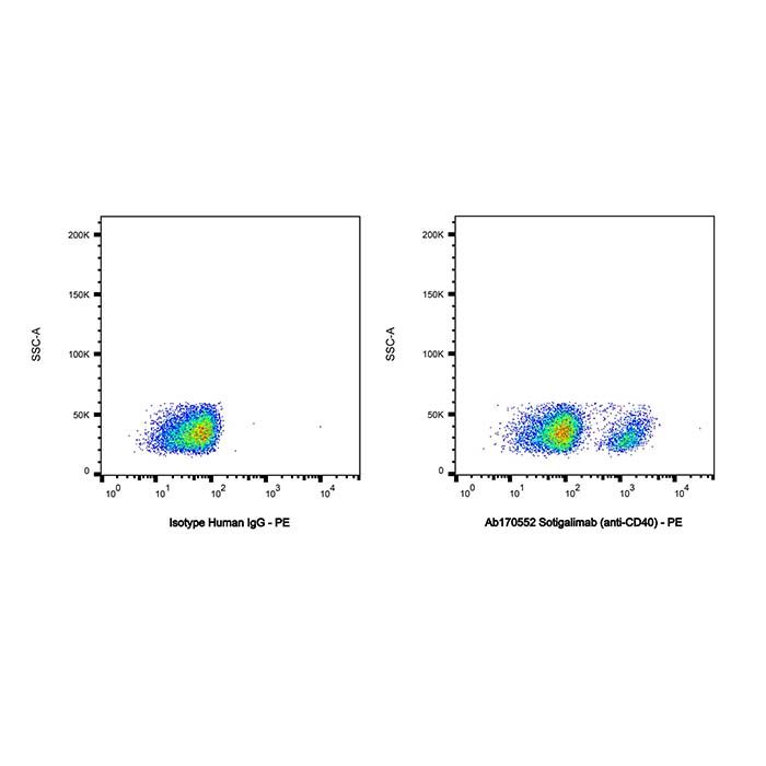 Sotigalimab (anti-CD40), 肿瘤坏死因子受体超家族成员 5 激动剂的激动剂