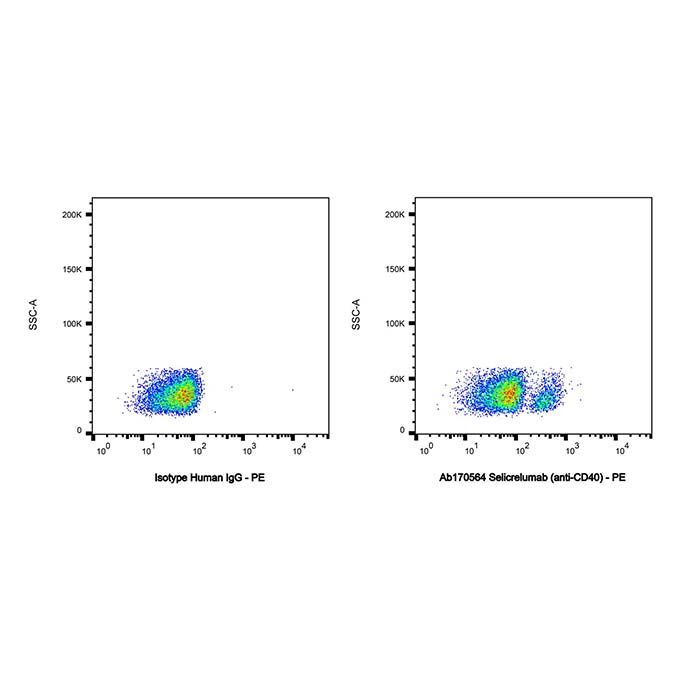 Selicrelumab (anti-CD40), 肿瘤坏死因子受体超家族成员 5 激动剂的激动剂