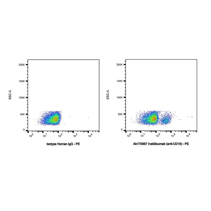 Inebilizumab (anti-CD19), B 淋巴细胞抗原的结合剂 CD19 结合剂