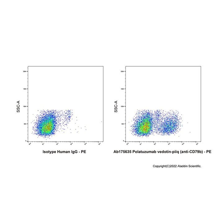 Polatuzumab vedotin-piiq (anti-CD79b), CD79B 抗体