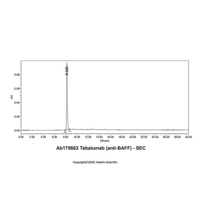 Tabalumab (anti-BAFF), 肿瘤坏死因子配体超家族成员 13B 抑制剂