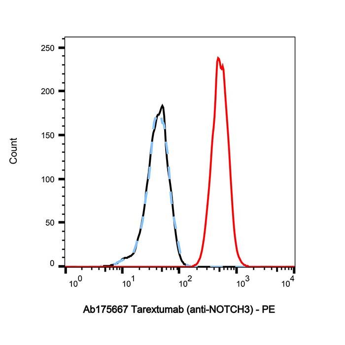 Tarextumab (anti-NOTCH3), 缺口受体 2 抗体;缺口受体 3 抗体