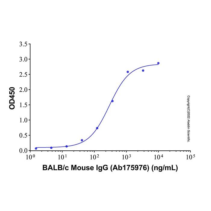 BALB/c Mouse IgG