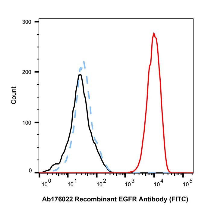 Recombinant EGFR Antibody (FITC)