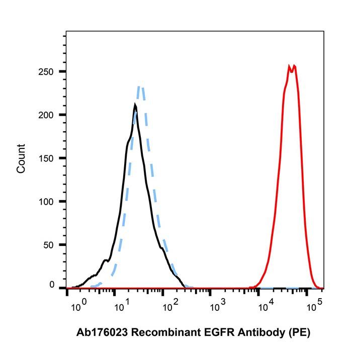 Recombinant EGFR Antibody (PE)