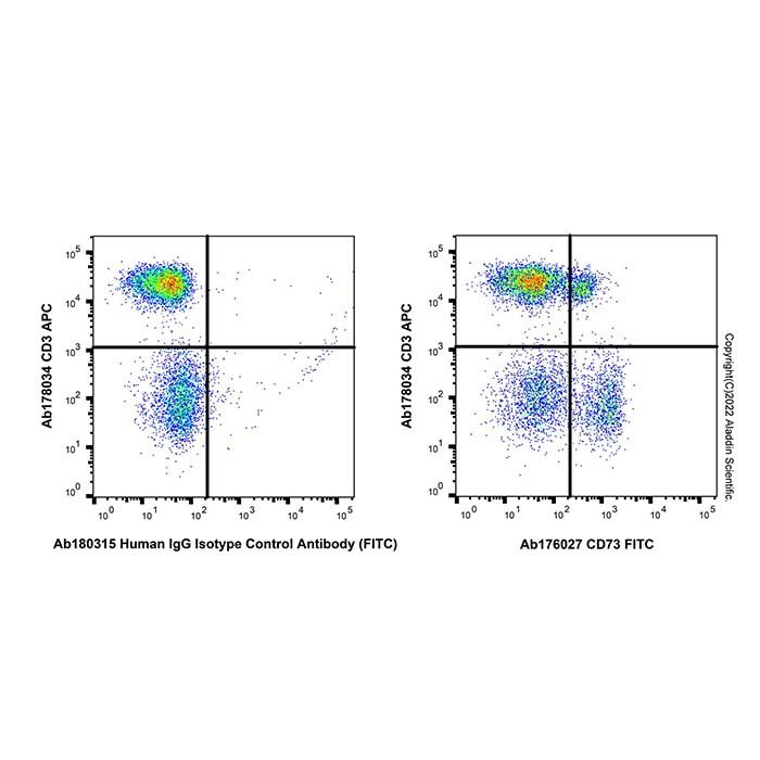 Recombinant CD73 Antibody (FITC)