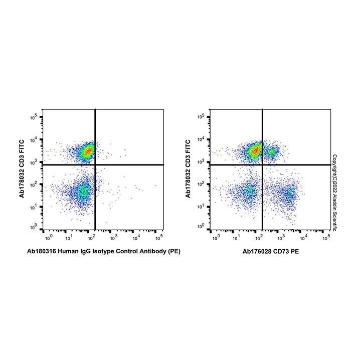 Recombinant CD73 Antibody (PE)