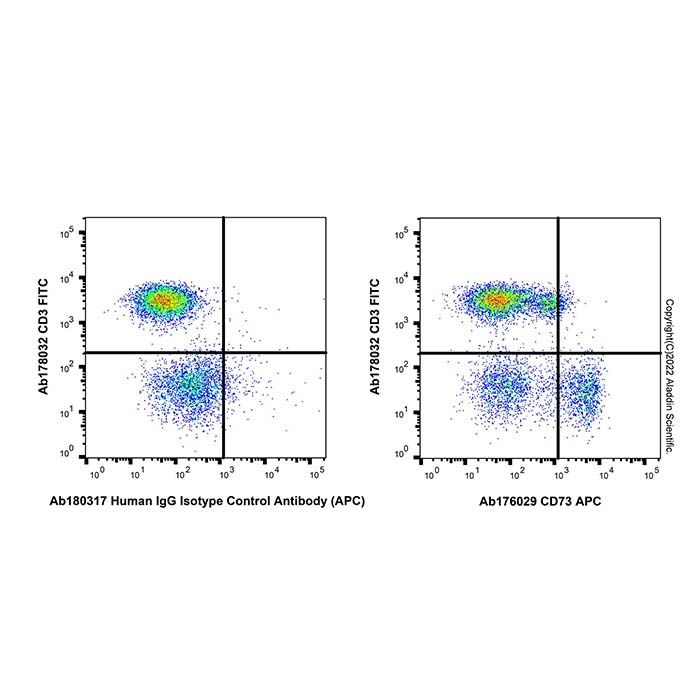 Recombinant CD73 Antibody (APC)