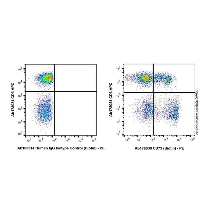 Recombinant CD73 Antibody (Biotin)