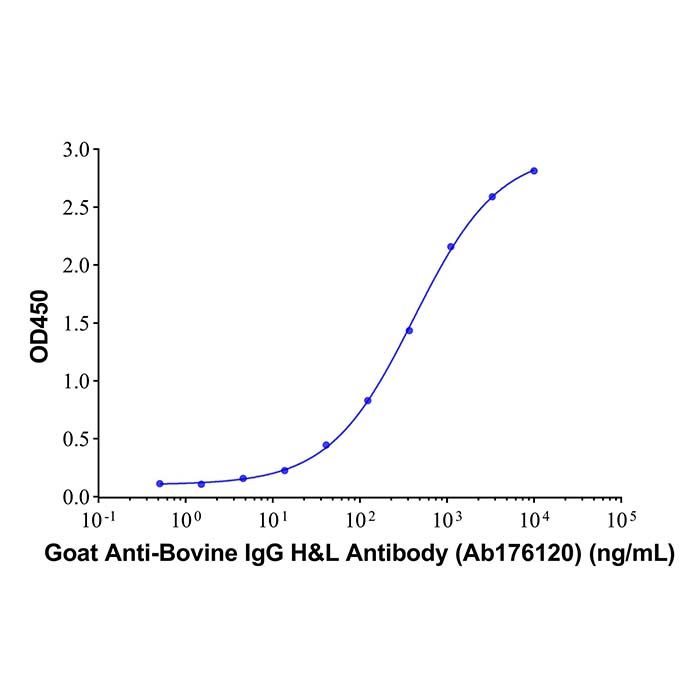 Goat Anti-Bovine IgG H&L Antibody